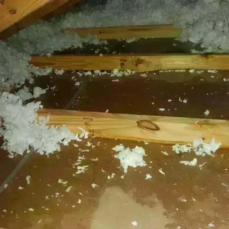 Attic Water Damage in Indianapolis, IN