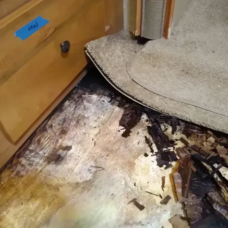 Wood Floor Water Damage in Indianapolis, IN